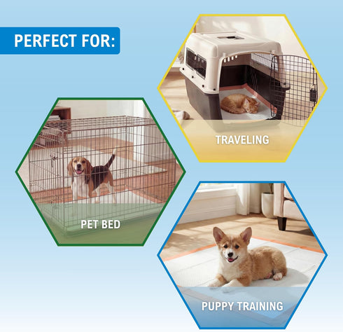 30 Count 30 30 Inch 6-Layer MED PRIDE Dog Training Pads with Adhesive Tabs & Attractant, Puppy Pee Pads, x Extra Large