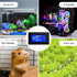Digital Thermometer Temperature Meter Gauge Waterproof Sensor Probe Aquarium Car PC Case Incubator Temp Meter 4 Pin