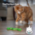 Catnip-Infused Wiggle Worm Dental Chew Toy for Cats