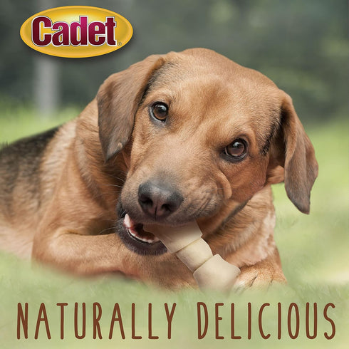 Premium Grade Beef Hide for Dogs, Long Lasting Rawhide Knotted Bones, 2 Pounds by Cadet