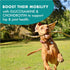 Buddy Biscuits Boosters, 5 oz. Bag of Hip and Joint Soft Chews Dog Treats with Natural Chicken