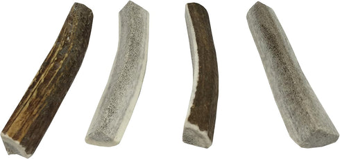 Elk Antler Dog Chews | Premium A-Grade Long-Lasting Chews from Naturally Shed Elk Antlers, Medium (Pack of 4)