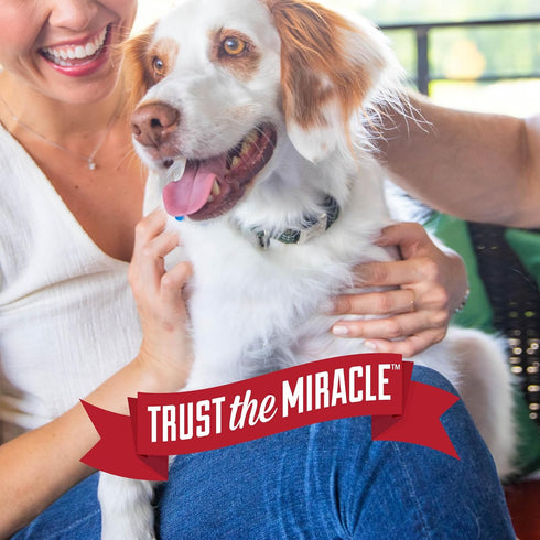 16 Natures Miracle Oatmeal Shampoo for Dogs, Ounces, Pistachio Cream Scent