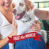 16 Natures Miracle Oatmeal Shampoo for Dogs, Ounces, Pistachio Cream Scent