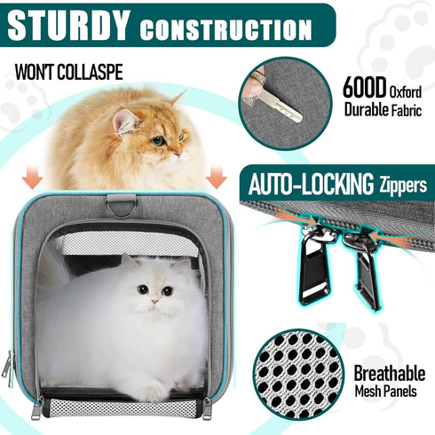 Pet Carrier for Large Cats 20 lbs+, Soft Sided Small Dog Travel Carrier, Top Load, Collapsible