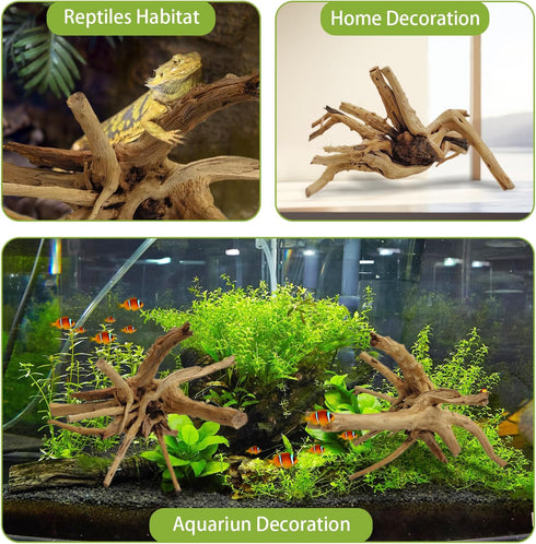 Tfwadmx Natural Driftwood for Aquarium, Reptile Branches, Terrarium Wood, 11-13 inch Pack of 2 Fish Tank Log Decoration