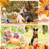 60 Sweetude Pcs Fall Dog Bandanas Bulk Plaid Bandanas for Dogs Autumn Thanksgiving Pet Scarf Bibs Adjustable Triangle