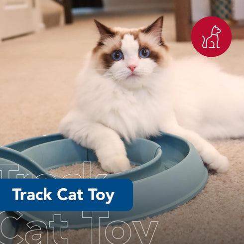 (1 Pack) Coastal Pet Turbo Track Cat Toy - Cat Ball Toy & Racetrack - Easy Assembly - Slate Blue