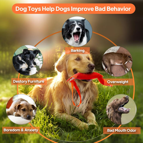 PetiFine Tug of War Dog Toy, Interactive Squeaky Training Toys for Small Dogs, Tough Toys for Aggressive Chewers