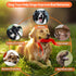 PetiFine Tug of War Dog Toy, Interactive Squeaky Training Toys for Small Dogs, Tough Toys for Aggressive Chewers