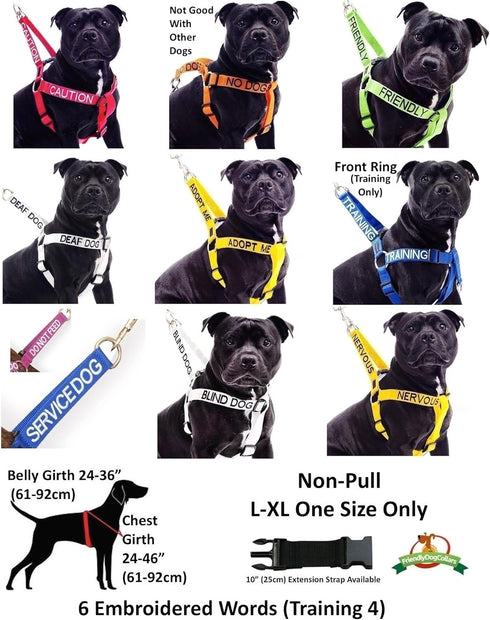 Training Dog Harness (L) - Blue Colour Coded Non-Pull Front and Back D Ring, Padded and Waterproof