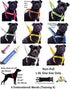 Training Dog Harness (L) - Blue Colour Coded Non-Pull Front and Back D Ring, Padded and Waterproof