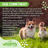 X2 Ultra Concentrated Pet Stain and Odor Remover, Enzyme Cleaner for Dog Urine and Poop, Safe for Carpet Furniture