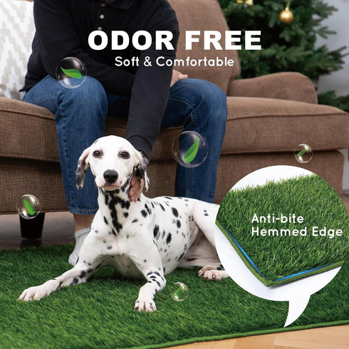 HQ4US 4LEGS 23" 16", Hemmed Dog Grass Pad with Tray Small x Dog Puppy Litter Box with Odor Free Artificial Grass Pee