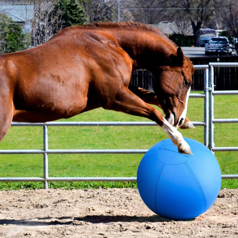 18" CP0408 Herding Ball for Dogs and Horses - Dog Herding Ball for Australian Shepherd Collie, Jolly Ball for Dogs
