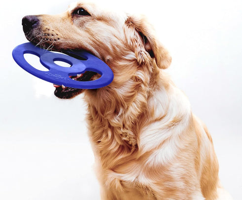 SuperChewy Tough Tug-of-War Flying Disc Toy - Lifetime Replacement, Strong Natural Rubber, Great Tug Disc Fetch Toy for
