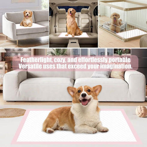 Ycxvacop 40 Pads,24" 24" Pcs Disposable Changing Pads,Disposable Puppy Pads,Puppy Training x Dog Pee Pads,Super