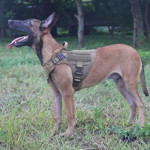 ICEFANG Tactical Dog Harness with 4X Metal Buckle, Working Dog MOLLE K9 Vest, Adjustable No Pulling Harness (M, Brown)