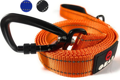 Nylon Dog Leash with Locking Carabiner, Heavy Duty Reflective Lead with Padded Handle for Walking, Orange, 4'