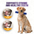 Interactive Durable Dog Chew Toys for Aggressive Small Medium Large Dogs - Indestructible Blue & Beige Stick Toy