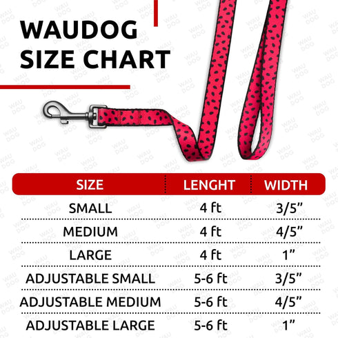 WAUDOG Nylon Dog Leash for Small and Medium Dogs, 4 Ft, Heavy Duty Dog Leashes for Large Breed Dogs & Puppy Leash