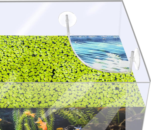 Aquarium Floating Plant Corral, Clear Plastic Fence for Separating Floating Plants in Fish Tank