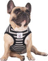 iChoue French Bulldog 100% Breathable Cotton Striped T Shirts Summer Cooling Vest Clothes for Medium Dogs Tank Tops Frenchie Pug English Boston Terrier Pitbull Grey Black Stripes - Large