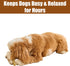 SPOT 60lbs, 5.25in, Bam-Bones Plus Bamboo Stick Bamboo Fiber & Nylon, Durable Long Lasting Dog Chew for Aggressive