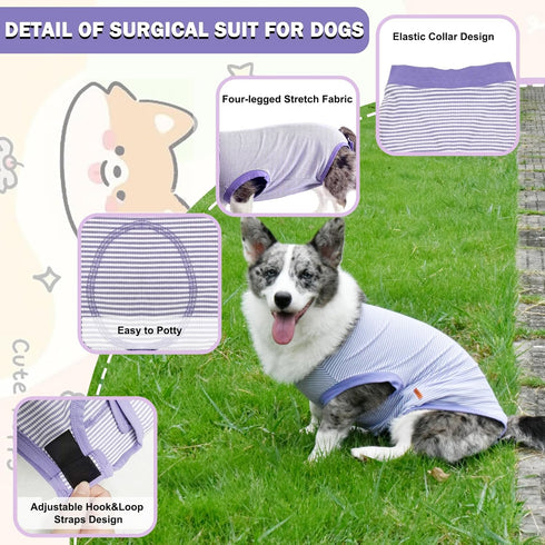 Dog Surgery Recovery Suit, Surgical Recovery Suit for Dog Male Female, Spay Neuter Dog Recovery Suit, Cone Alternative Dog Surgical Onesie Purple, Medium
