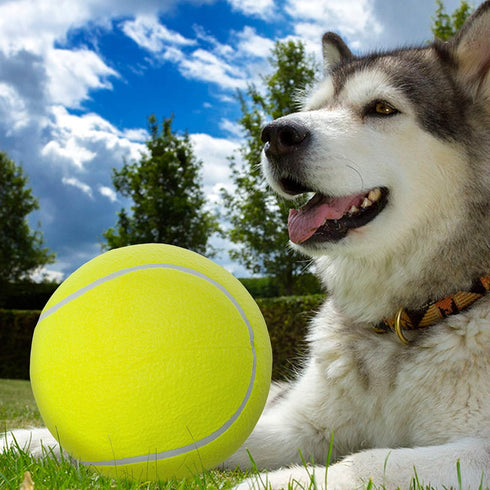 Dog Toy Ball - 9.5" Large Tennis Balls for Dogs, 2 Pack Inflatable Rubber Balls with Pump & Needle