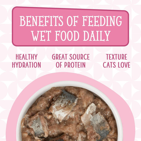 Weruva Cats in The Kitchen, Kitty Gone Wild Wet Cat Food, 10oz Can, Pack of 12