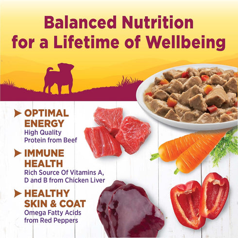 3-Ounce (Pack 12) Wellness Petite Entres Mini-Filets with Roasted Beef, Carrots & Red Peppers in Gravy, Cup