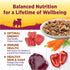 3-Ounce (Pack 12) Wellness Petite Entres Mini-Filets with Roasted Beef, Carrots & Red Peppers in Gravy, Cup