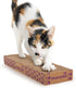 SmartyKat Super Scratcher, Single Wide Cat Scratcher with Catnip Infusion Technology - Brown
