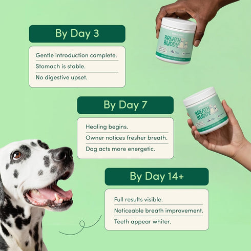 Fifth & Fido Breath Buddy Dog Dental Powder for Teeth Cleaning Cat & Dog Breath Freshener, Helps Remove Plaque
