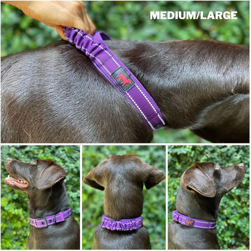 Heavy Duty Dog Collar with Handle, Ballistic Nylon Reflective Collar with Adjustable Stainless Steel Hardware