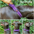 Heavy Duty Dog Collar with Handle, Ballistic Nylon Reflective Collar with Adjustable Stainless Steel Hardware
