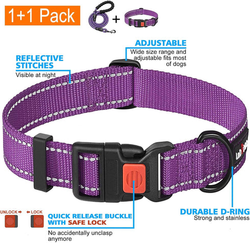 Heavy Duty Dog Leash, 5 ft Long - Comfortable Padded Handle, for Small Medium Large Dogs (Leash+Collar M Neck 16"-20",