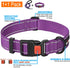 Heavy Duty Dog Leash, 5 ft Long - Comfortable Padded Handle, for Small Medium Large Dogs (Leash+Collar M Neck 16"-20",