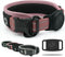 Airtag Dog Collar - Premium Adjustable Holder, Heavy Duty Reflective No Chafing Air Mesh Padded Quick Release