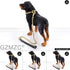"Dog Chain Collar 18K Gold High Polished Stainless Steel Cuban Link Heavy Duty Chew Proof Leash for Small Dogs (12mm,