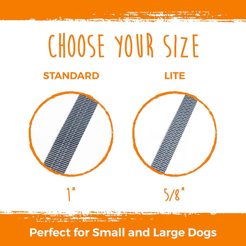 Mighty Paw Double Dog Leash, No Tangle Design, Adjustable Split Lead for 2 Pets, Reflective Dual Pet Lead