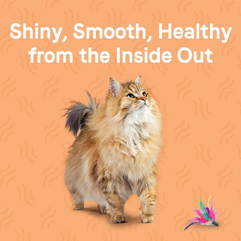 Canidae Goodness for Skin and Coat, Premium Adult Dry Cat Food with Real Salmon, 5 lbs.