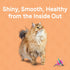 Canidae Goodness for Skin and Coat, Premium Adult Dry Cat Food with Real Salmon, 5 lbs.
