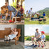 2 Pack 13 Inch Camping Stool Portable Folding Stool for Adults, Lightweight Small Foldable Stools for Fishing Hiking