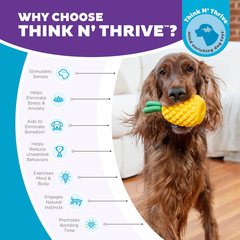 Outward Hound Dental Pineapple Chew Toy, Interactive Treat Stuffer, Durable Stuffable Dog Toy, Yellow