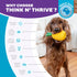 Outward Hound Dental Pineapple Chew Toy, Interactive Treat Stuffer, Durable Stuffable Dog Toy, Yellow
