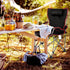 1-Pack, YSSOA Removable Footrest Reclining Camping Chair, Black