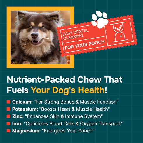 Split Elk Antler Chew for Small Dogs, Grade A, Long Lasting, Organic Treats & Toys, Naturally Shed