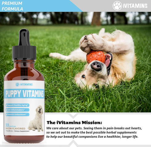 Puppy Vitamins, Liquid Puppy Supplements for Small Dogs, Large Breed Multivitamin, Bacon Flavor, 1 fl oz